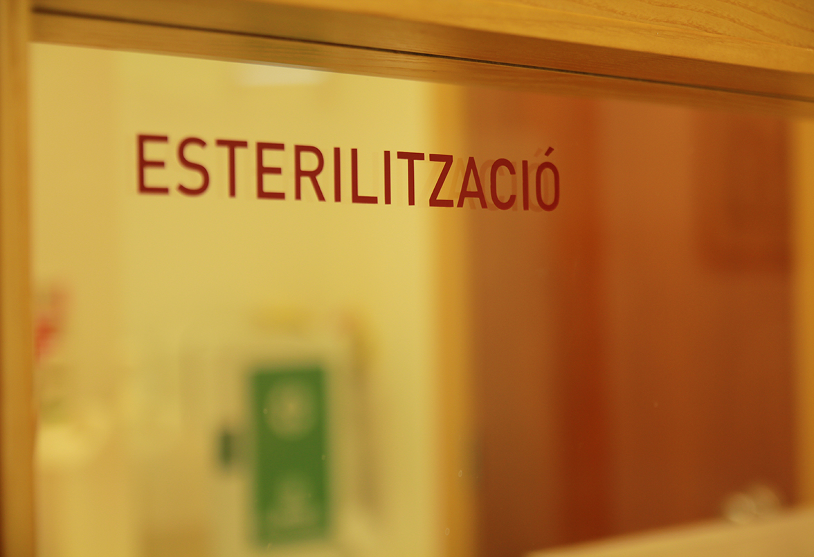 esterilitzacio